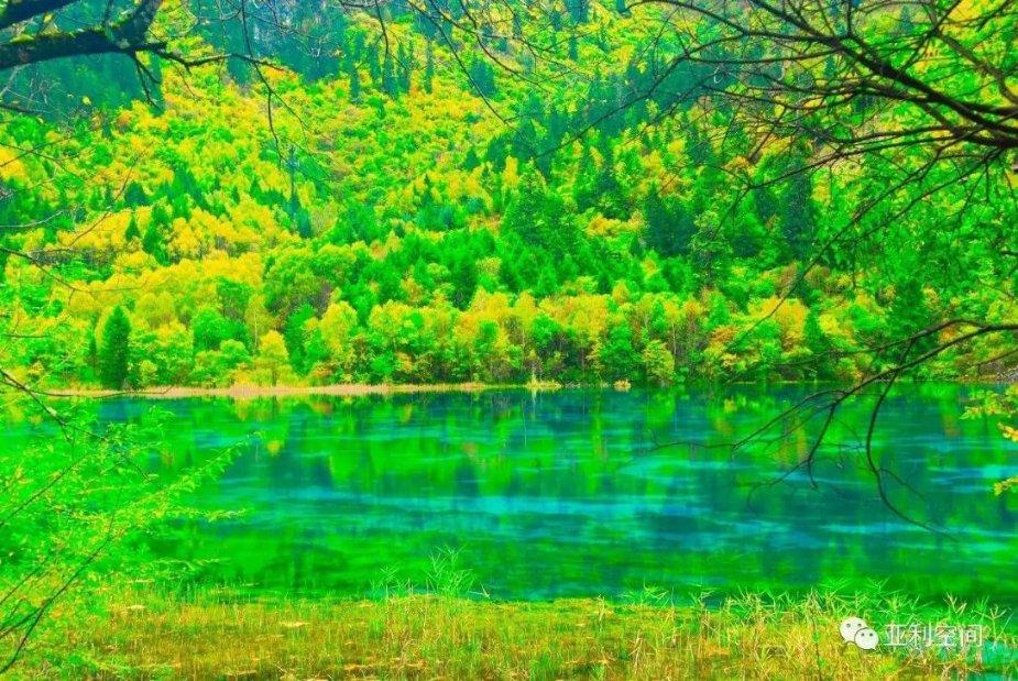 逃离龙的圣地