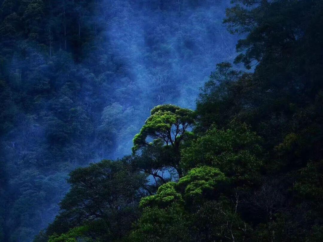 苹果手机电池容量游戏画面